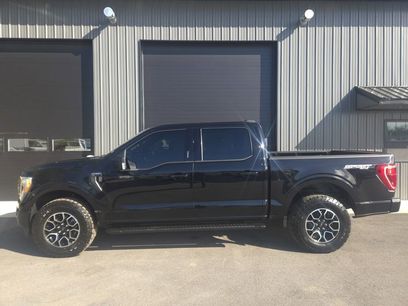 Used 2021 Ford F150 XLT w/ Equipment Group 302A High