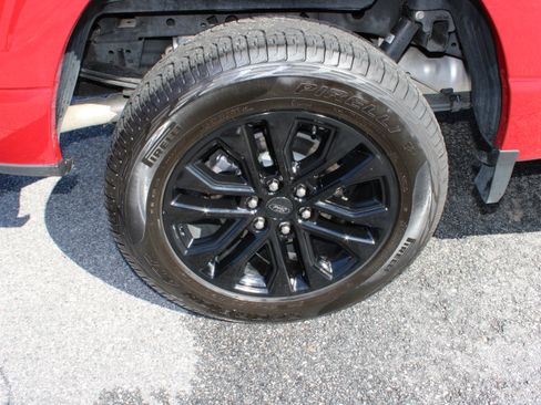 Used 2025 Ford F150 XLT w/ Equipment Group 303A High AWD/4WD image 13