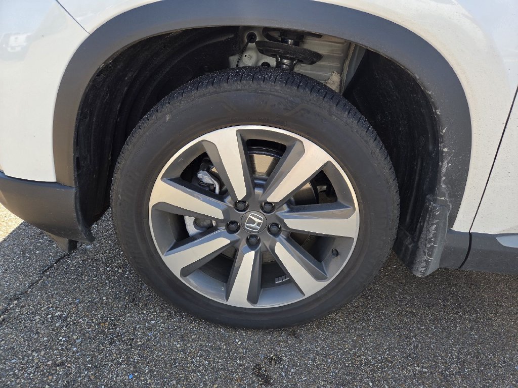 Used 2025 Honda Pilot Elite image 5