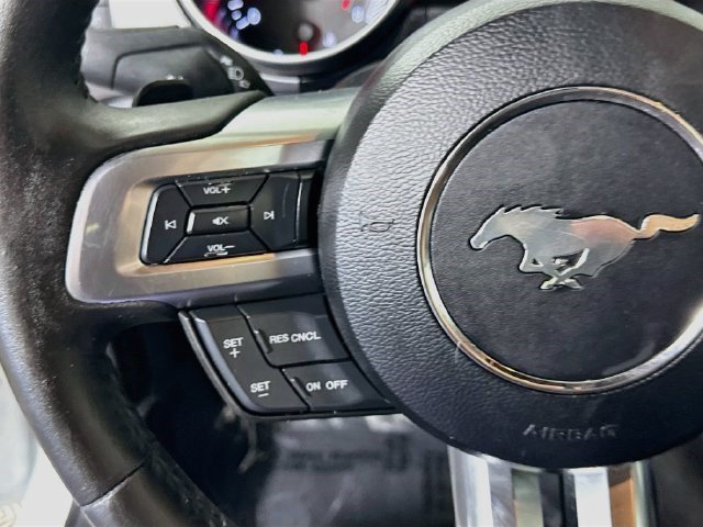 Used 2019 Ford Mustang Premium RWD image 13