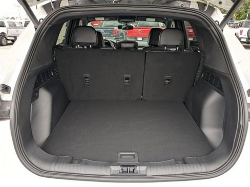 Used 2024 Ford Escape ST-Line Elite image 13