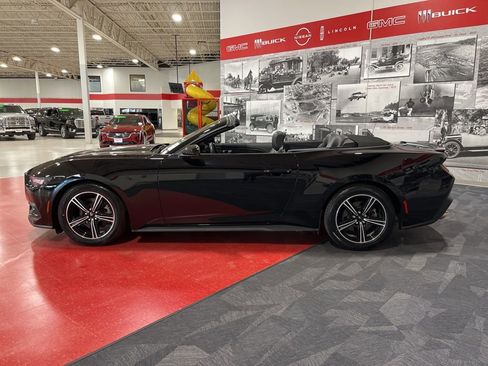 Used 2024 Ford Mustang Premium image 6