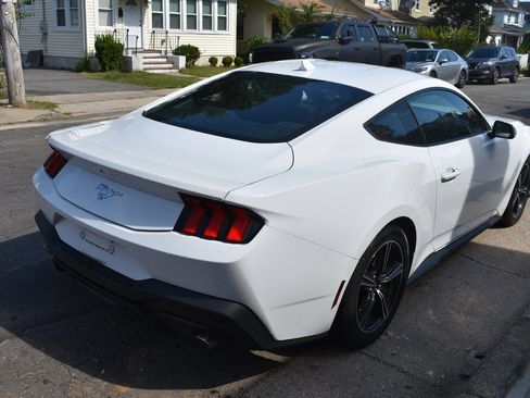 Used 2024 Ford Mustang EcoBoost image 6