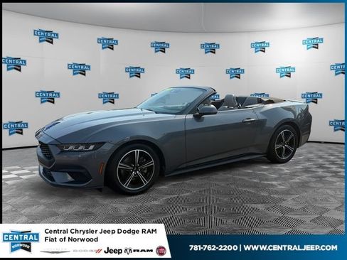 Used 2024 Ford Mustang Premium RWD image 1