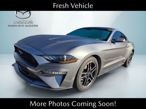 Used 2022 Ford Mustang Coupe w/ Equipment Group 101A RWD image 1