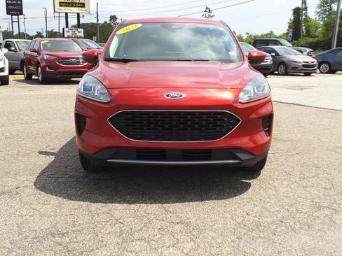 Used 2021 Ford Escape SE w/ Cold Weather Package AWD/4WD image 2