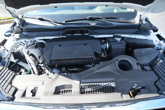 Used 2025 Honda Pilot Elite image 16