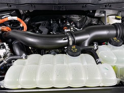 New 2025 Ford F150 XLT w/ Equipment Group 302A MID image 18