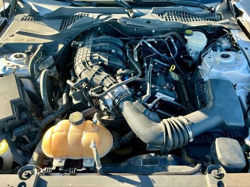 Used 2015 Ford Mustang Coupe w/ Equipment Group 051A image 14