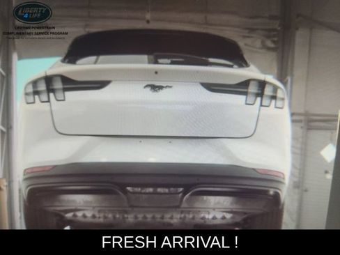 Used 2025 Ford Mustang Mach-E Premium AWD/4WD image 10