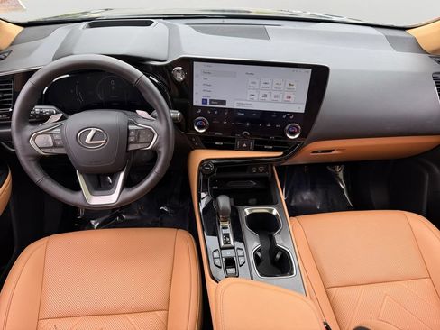 Certified 2025 Lexus NX 350 AWD w/ Rear Seat Package image 13
