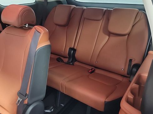 Used 2024 Kia Carnival SX image 17