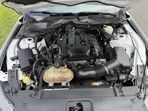 Used 2015 Ford Mustang Premium w/ Equipment Group 201A RWD image 17
