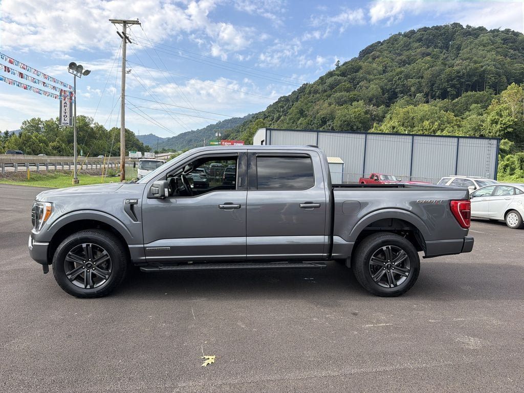 Used 2023 Ford F150 XLT w/ Equipment Group 302A High AWD/4WD image 8