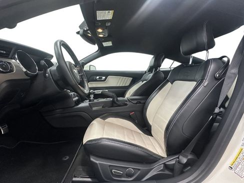 Used 2015 Ford Mustang 50 Years RWD image 14