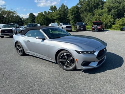 Used 2024 Ford Mustang Premium