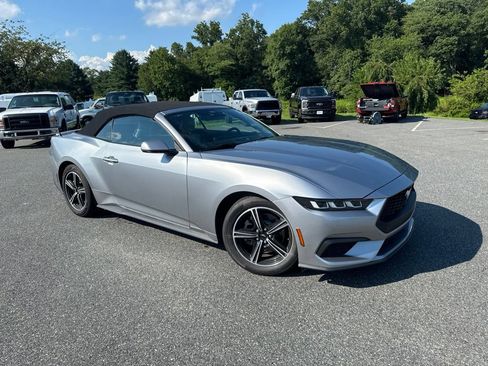Used 2024 Ford Mustang Premium RWD image 1