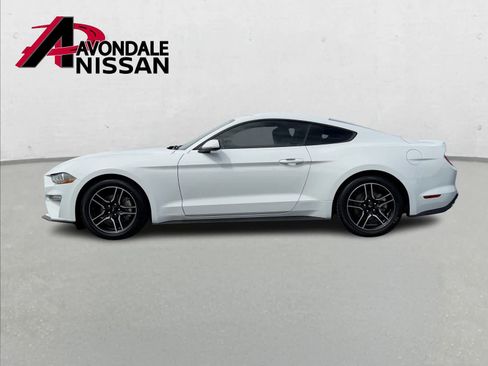Used 2019 Ford Mustang Coupe w/ Equipment Group 101A image 3
