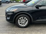 Used 2022 Ford Escape SE w/ Convenience Package image 2
