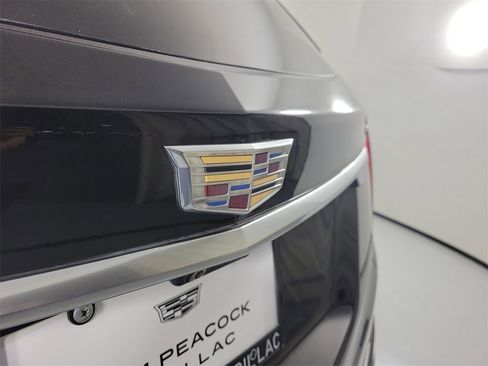 Used 2021 Cadillac XT5 Premium Luxury image 6