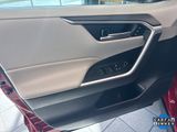 Used 2019 Toyota RAV4 XLE Premium image 5