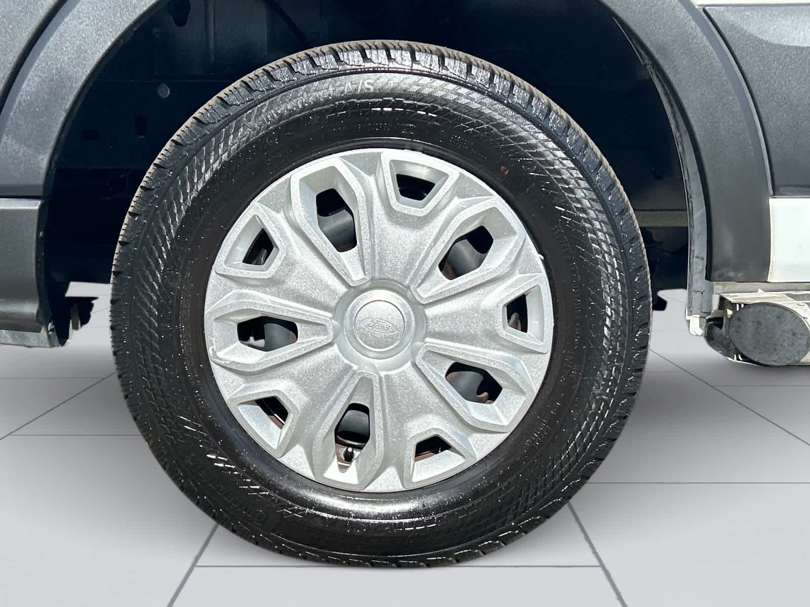 Used 2025 Ford Transit 250 Low Roof w/ Exterior Upgrade Package RWD image 9