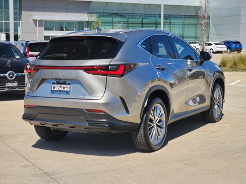 Used 2025 Lexus NX 350 350 Premium w/ Cold Area Package image 7