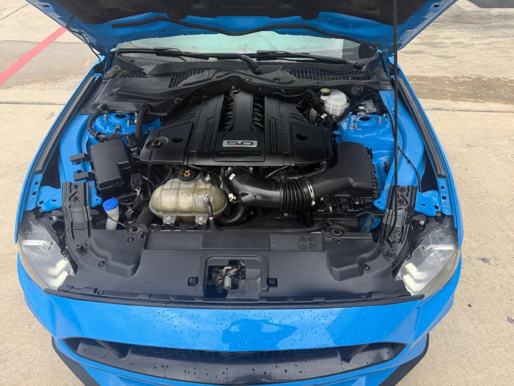Used 2022 Ford Mustang GT w/ Equipment Group 301A RWD image 19
