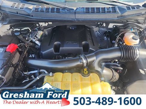 Used 2019 Ford F150 XLT w/ Equipment Group 302A Luxury AWD/4WD image 29