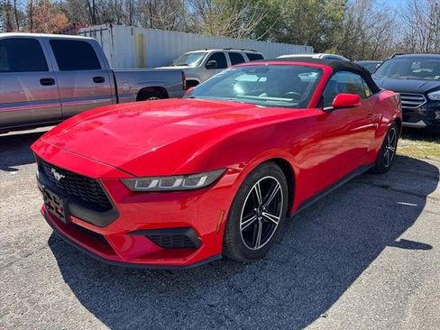 Used 2024 Ford Mustang Premium image 8