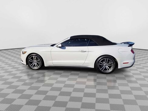 Used 2017 Ford Mustang Premium RWD image 5