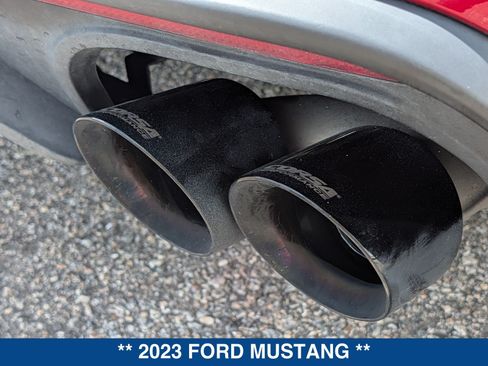 Used 2023 Ford Mustang GT w/ Equipment Group 301A RWD image 14
