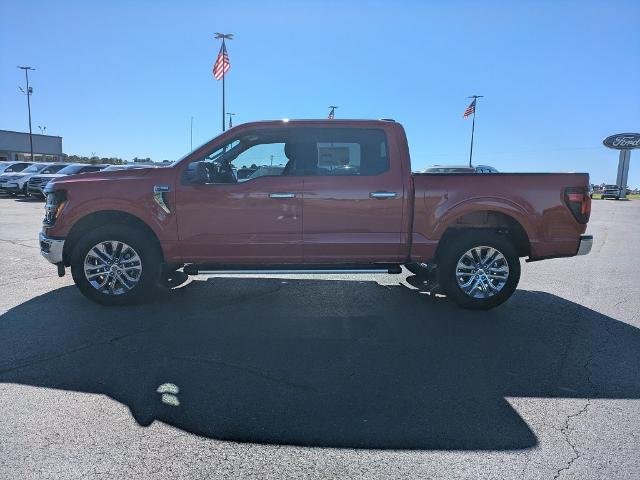 New 2026 Ford F150 XLT w/ XLT Chrome Appearance Package AWD/4WD image 7