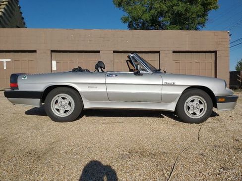 Used 1986 Alfa Romeo Spider Veloce image 56