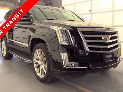 Used 2019 Cadillac Escalade Luxury RWD image 5