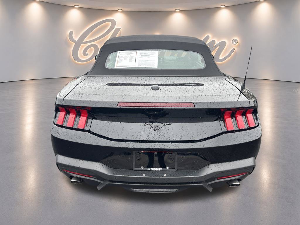 Used 2025 Ford Mustang Convertible w/ Mustang Nite Pony Package RWD image 4
