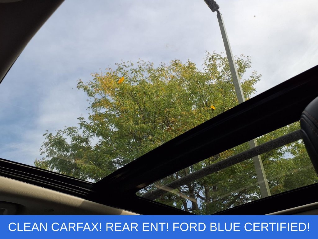 Used 2019 Ford Expedition Max Platinum AWD/4WD image 9
