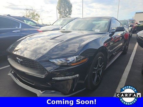 Used 2019 Ford Mustang EcoBoost image 1