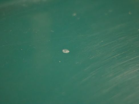 Used 1995 Jaguar XJS 4.0 Convertible image 42