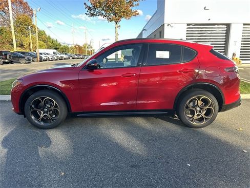 New 2025 Alfa Romeo Stelvio Sprint image 5