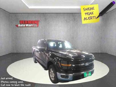 Used 2025 Ford F150 XLT w/ Equipment Group 301A Standard