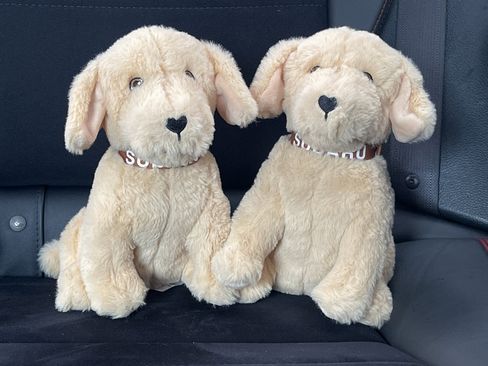 New 2026 Subaru Impreza 2.0i Sport image 21