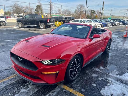 Used 2022 Ford Mustang Premium image 11