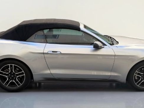Used 2020 Ford Mustang Premium RWD image 14