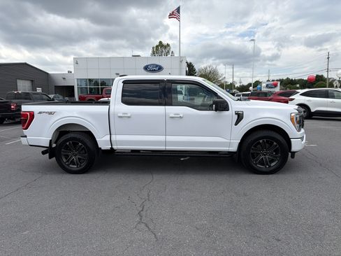 Used 2021 Ford F150 XLT w/ Equipment Group 302A High AWD/4WD image 2