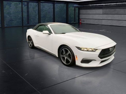 Certified 2025 Ford Mustang Premium RWD image 3
