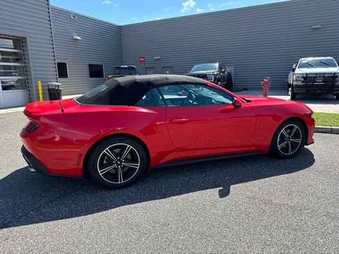 Used 2024 Ford Mustang Premium RWD image 5