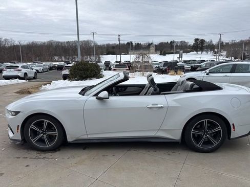 Used 2024 Ford Mustang Premium image 14