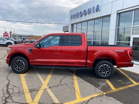 Used 2023 Ford F150 XLT w/ Equipment Group 302A High image 2