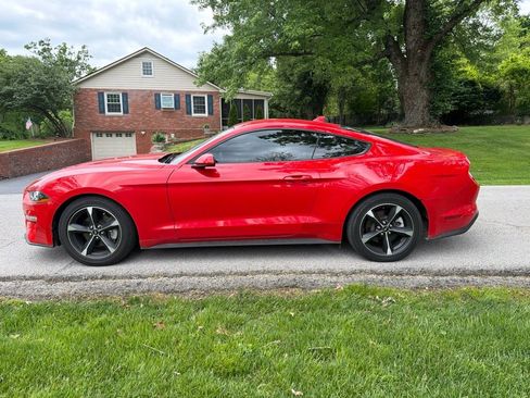 Used 2022 Ford Mustang Coupe RWD image 2